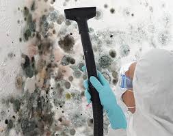 Biohazard Mold Removal in Manchester, MI